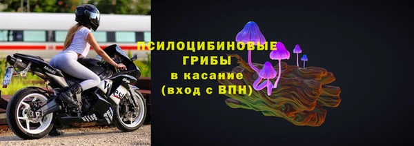 PSILOCYBIN Бугульма