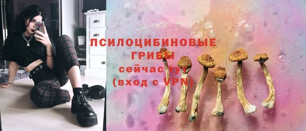 PSILOCYBIN Бугульма