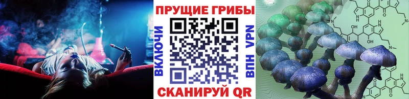 Галлюциногенные грибы прущие грибы  Киржач 